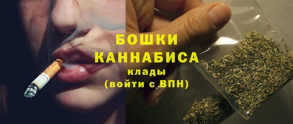 прущие грибы Баксан