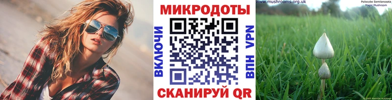 Псилоцибиновые грибы ЛСД  купить   MEGA ссылка  Ступино 